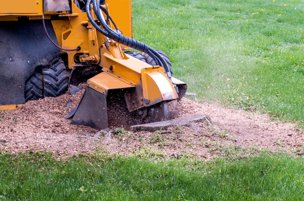 stump grinding